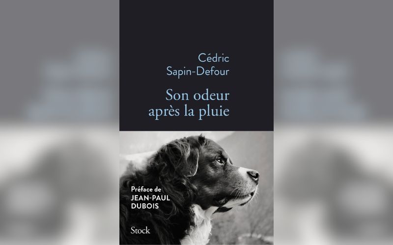 Son odeur après la pluie » de Cédric Sapin-Defour : un chien qui a