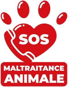 appelez le 3677 en cas de maltraitance animale