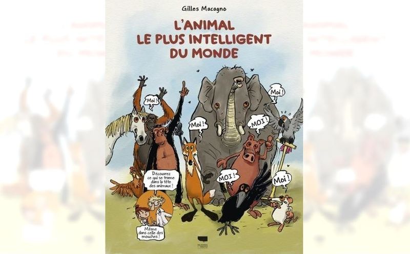 L’animal le plus intelligent du monde – gilles macagno